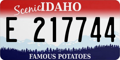ID license plate E217744