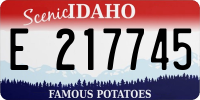 ID license plate E217745