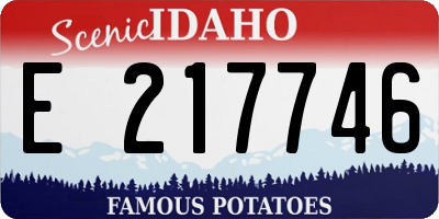 ID license plate E217746