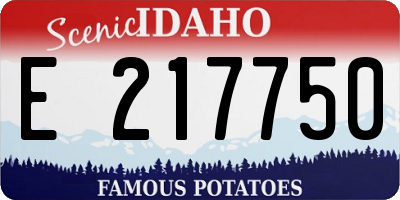 ID license plate E217750