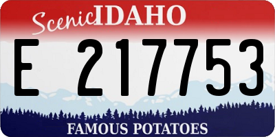 ID license plate E217753