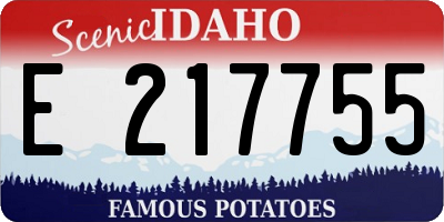ID license plate E217755