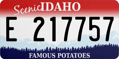 ID license plate E217757