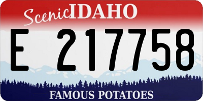ID license plate E217758