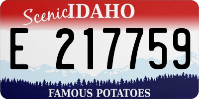 ID license plate E217759
