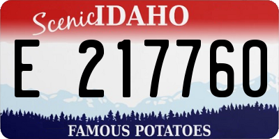 ID license plate E217760