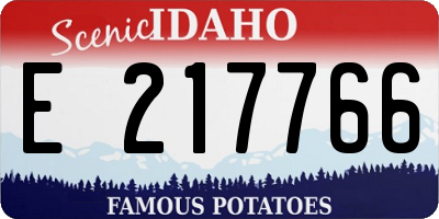 ID license plate E217766