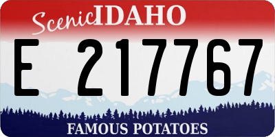 ID license plate E217767
