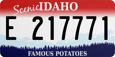 ID license plate E217771