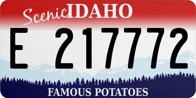 ID license plate E217772