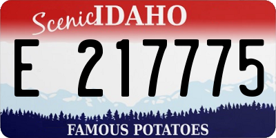 ID license plate E217775