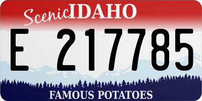 ID license plate E217785