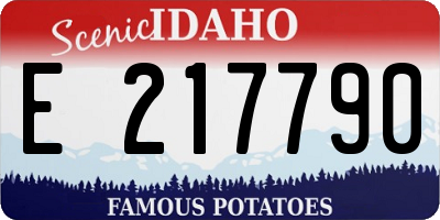 ID license plate E217790