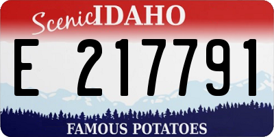 ID license plate E217791