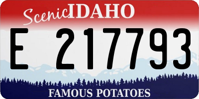 ID license plate E217793