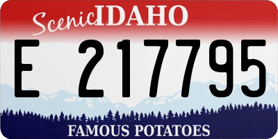 ID license plate E217795