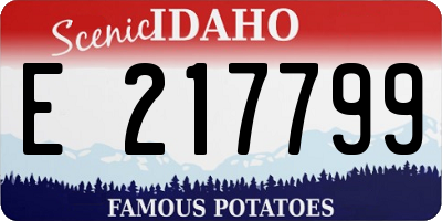 ID license plate E217799
