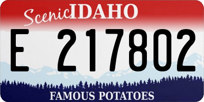 ID license plate E217802