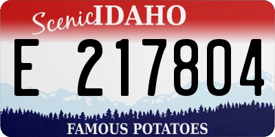 ID license plate E217804