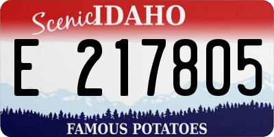 ID license plate E217805