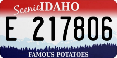 ID license plate E217806