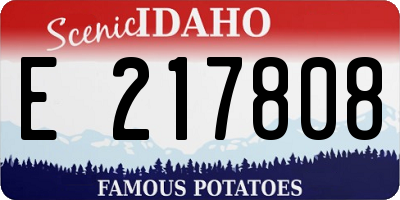 ID license plate E217808