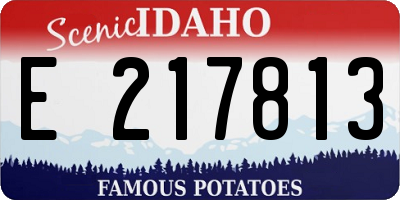 ID license plate E217813