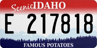 ID license plate E217818