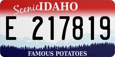 ID license plate E217819