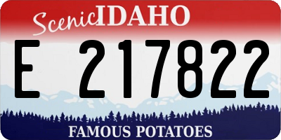 ID license plate E217822