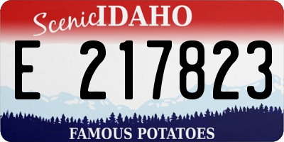 ID license plate E217823