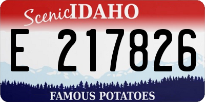 ID license plate E217826