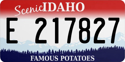 ID license plate E217827