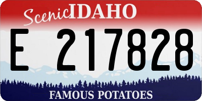 ID license plate E217828