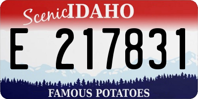ID license plate E217831