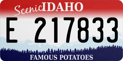 ID license plate E217833