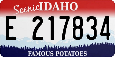 ID license plate E217834