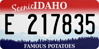 ID license plate E217835