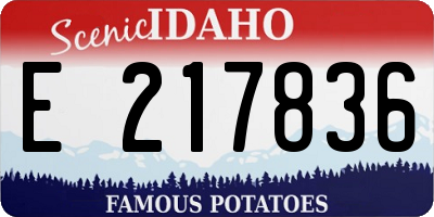 ID license plate E217836
