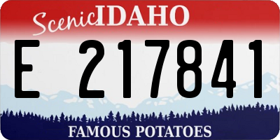 ID license plate E217841