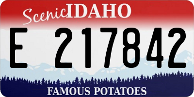 ID license plate E217842