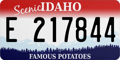 ID license plate E217844