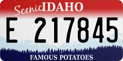 ID license plate E217845