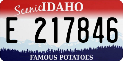 ID license plate E217846