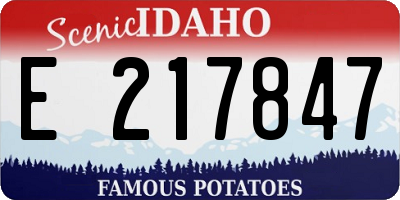 ID license plate E217847