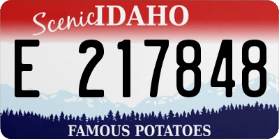 ID license plate E217848