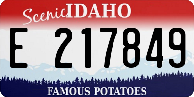 ID license plate E217849