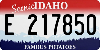 ID license plate E217850