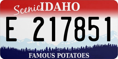 ID license plate E217851