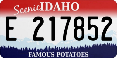 ID license plate E217852